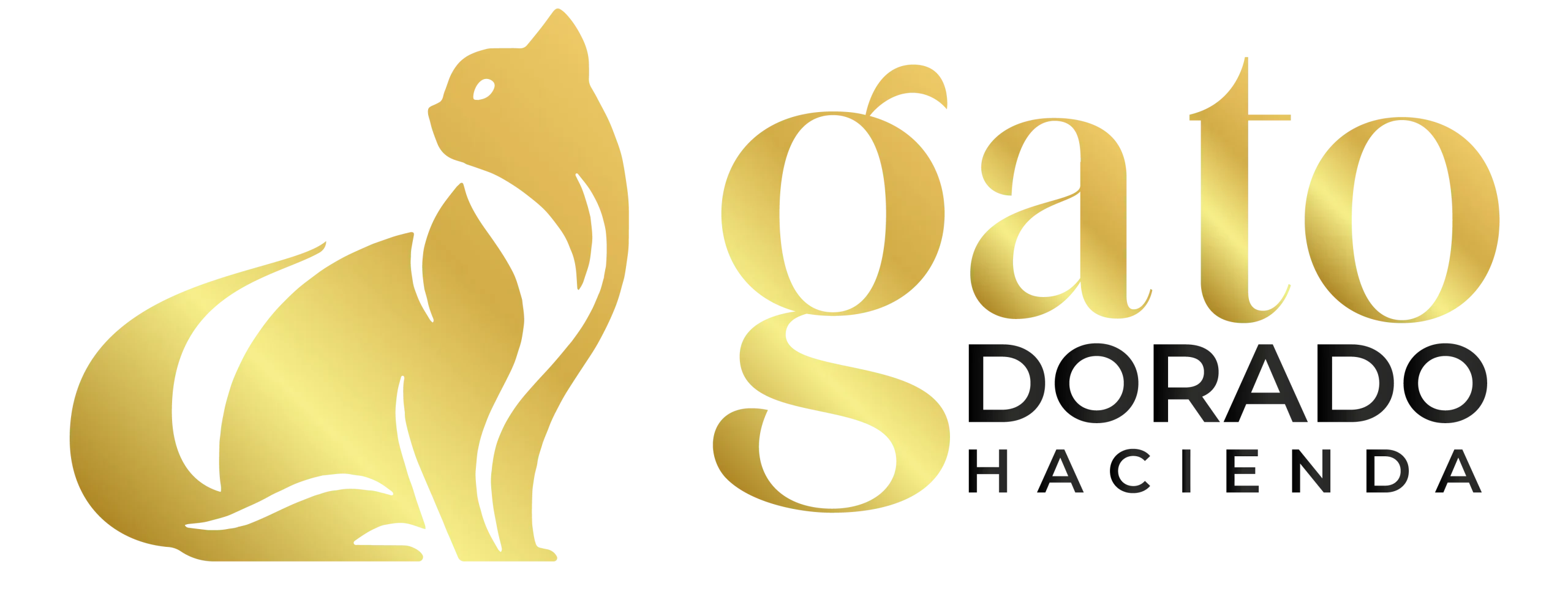 Gato dorado hacienda