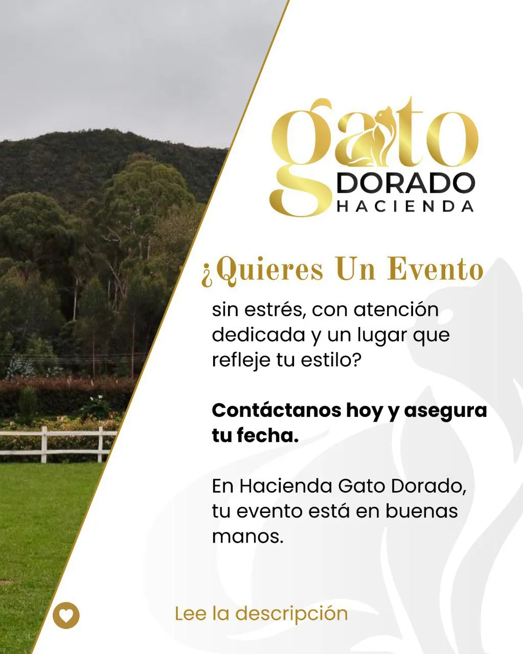 photo_22_2025-10-24_09-49-45