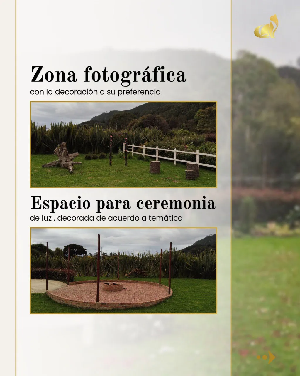 photo_23_2025-10-24_09-49-45