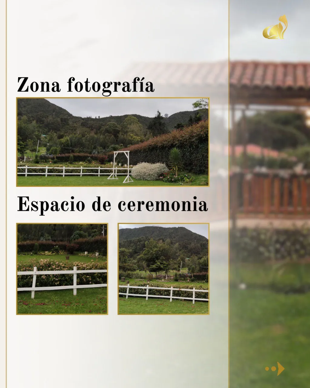 photo_25_2025-10-24_09-49-45