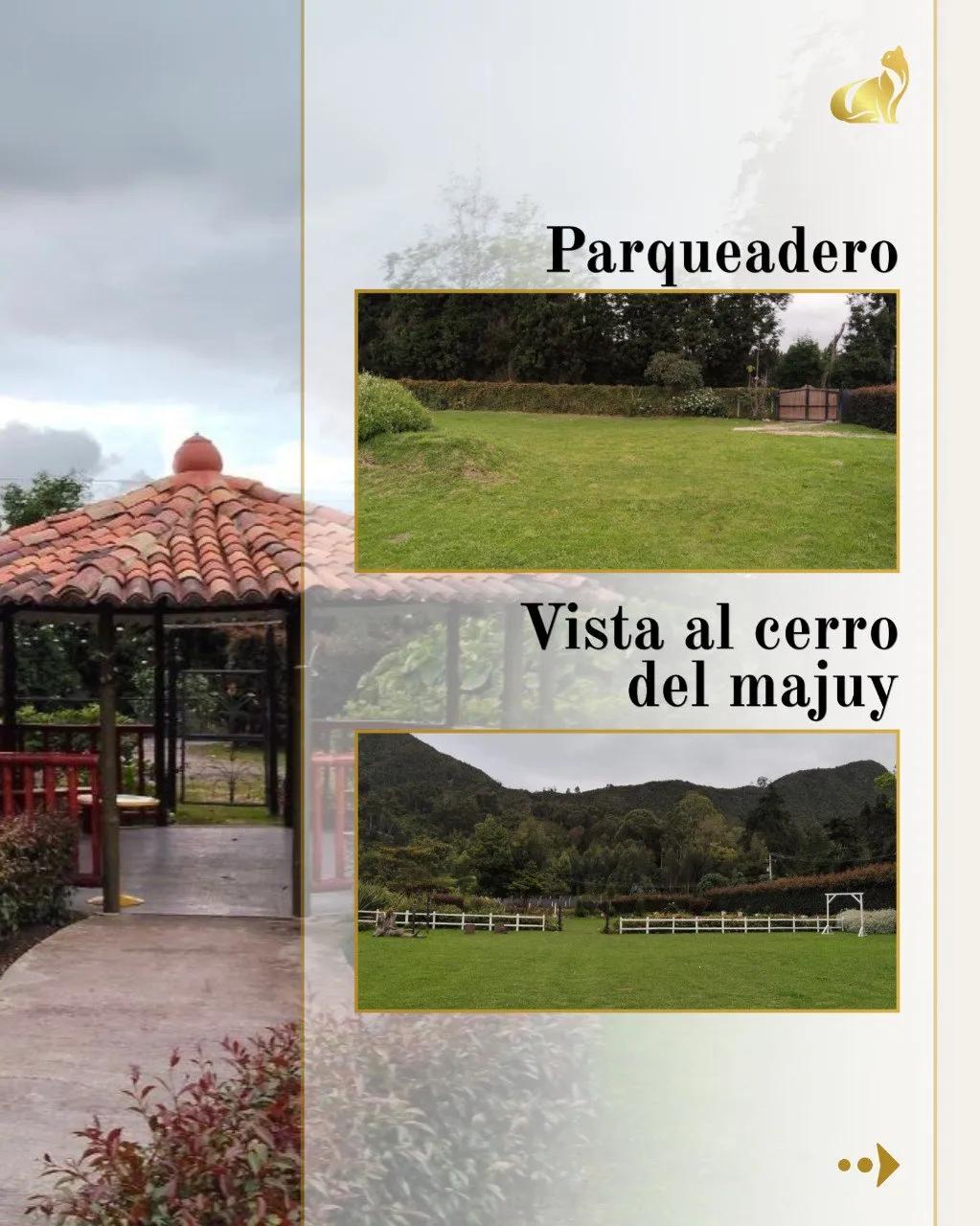 photo_26_2025-10-24_09-49-45