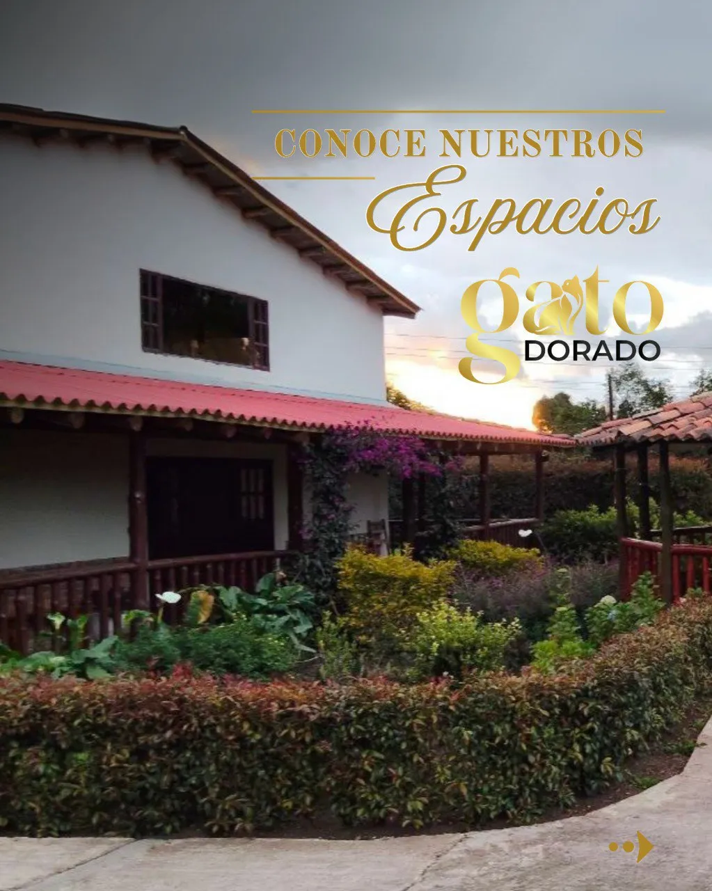 photo_27_2025-10-24_09-49-45