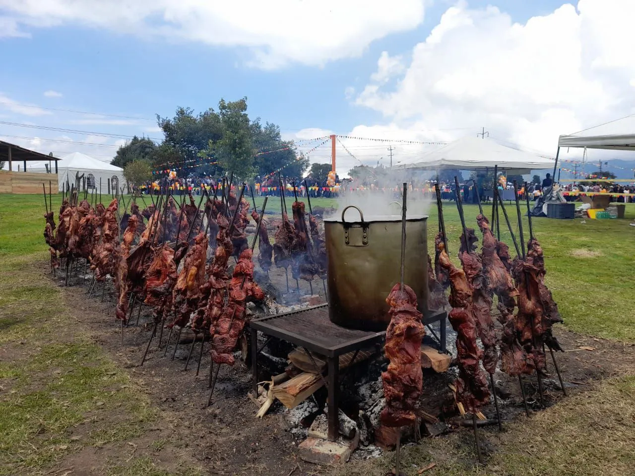 photo_5_2025-10-24_10-13-26